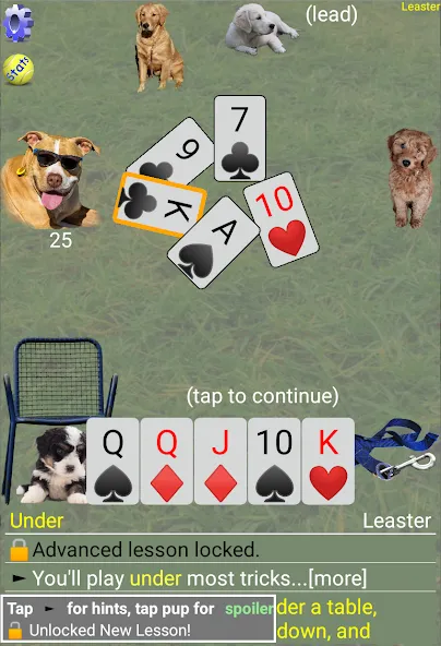 K9 Sheepshead (Schafkopf) (Шипсхед) [МОД Много денег] Screenshot 4