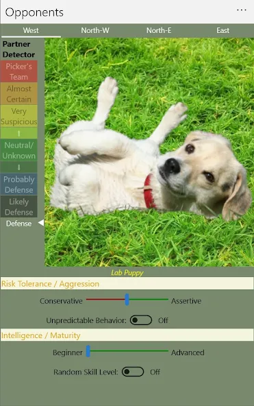 K9 Sheepshead (Schafkopf) (Шипсхед) [МОД Много денег] Screenshot 5