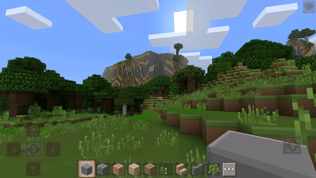 MasterCraft 2021 (МастерКрафт 2021) [МОД Unlimited Money] Screenshot 1