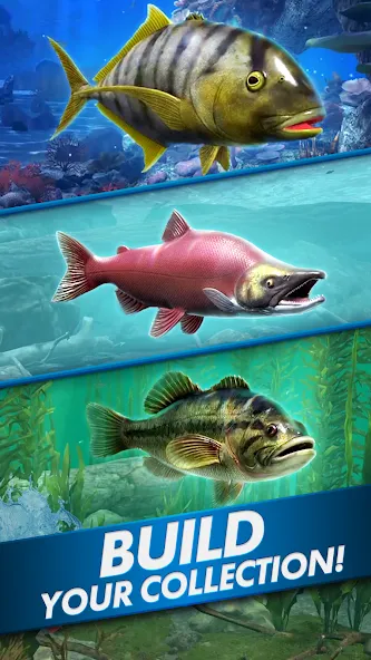 Ultimate Fishing! Fish Game [МОД Меню] Screenshot 5