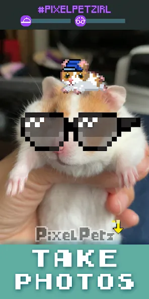 Pixel Petz [МОД Много монет] Screenshot 4