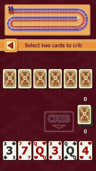 Cribbage (Криббидж) [МОД Много монет] Screenshot 1