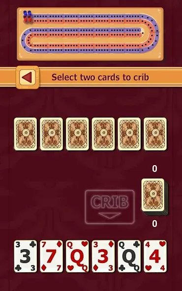 Cribbage (Криббидж) [МОД Много монет] Screenshot 4
