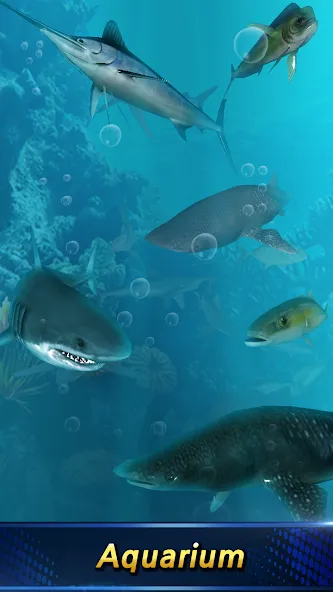 Monster Fishing 2024 [МОД Много монет] Screenshot 2