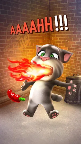 Talking Tom Cat [МОД Бесконечные монеты] Screenshot 4