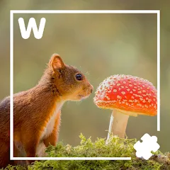 Скачать взломанную 7000 words (семь тысяч)  [МОД Много монет]