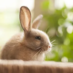 Скачать взлом 1 picture and a few words  [МОД Unlocked]