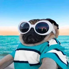 Скачать взлом 10000 words (десять тысяч)  [МОД Все открыто]