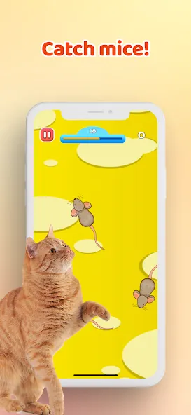 Games for Cat－Toy Mouse & Fish [МОД Меню] Screenshot 1