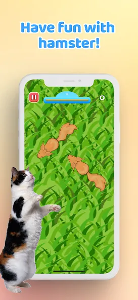 Games for Cat－Toy Mouse & Fish [МОД Меню] Screenshot 5