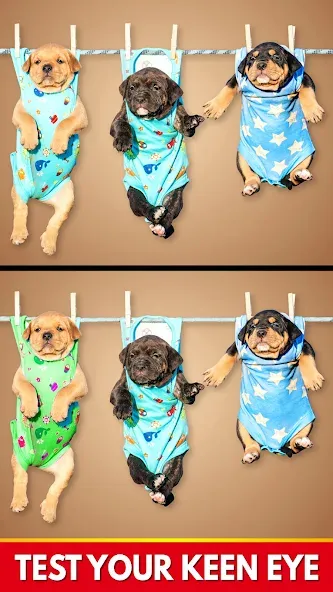 Find The Differences - Spot it [МОД Unlimited Money] Screenshot 3