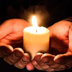 Взломанная Cozy Words  [МОД Бесконечные деньги]