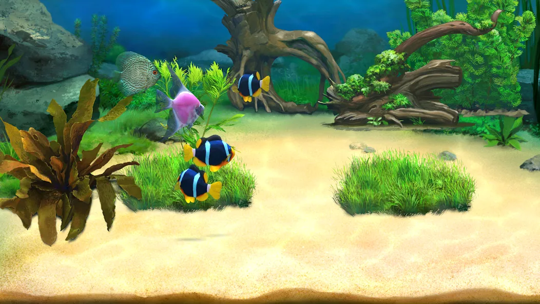 Aquantika [МОД Unlimited Money] Screenshot 2