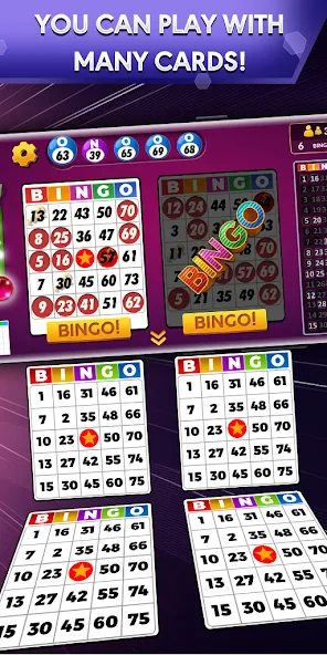 Bingo - Offline Bingo Game [МОД Много денег] Screenshot 1
