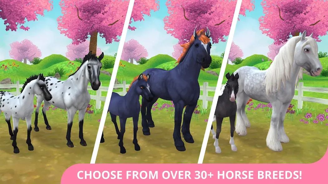 Star Stable Horses (СТар Стабл Хорсес) [МОД Много денег] Screenshot 1