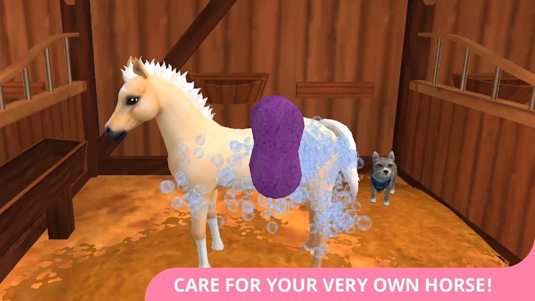 Star Stable Horses (СТар Стабл Хорсес) [МОД Много денег] Screenshot 2