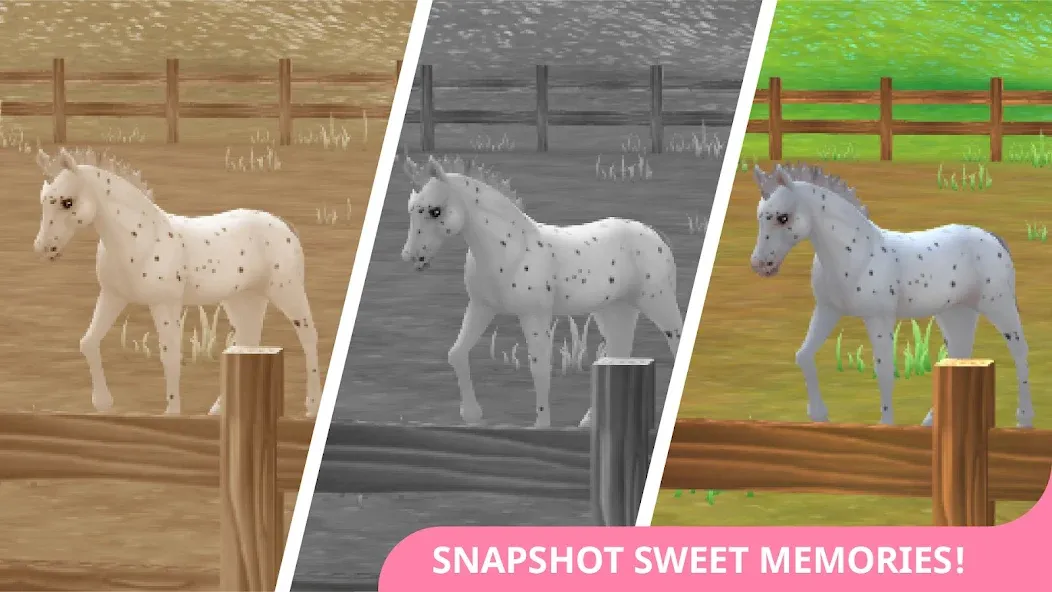 Star Stable Horses (СТар Стабл Хорсес) [МОД Много денег] Screenshot 4