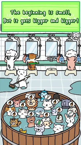 Animal Hot Springs [МОД Много монет] Screenshot 2