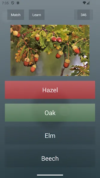 General Knowledge Quiz [МОД Menu] Screenshot 2