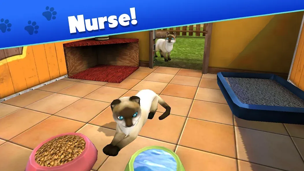 Pet World - My Animal Shelter (Пет Ворлд) [МОД Меню] Screenshot 3