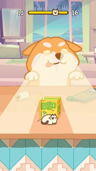 Hide And Seek: Cute Cat Escape [МОД Все открыто] Screenshot 3