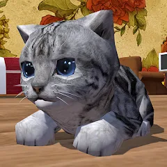 Взлом Cute Pocket Cat 3D (Сьют Покет Кэт 3Д)  [МОД Много монет]