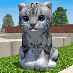 Взлом Cute Pocket Cat 3D - Part 2 (Сьют Покет Кэт 3Д)  [МОД Много монет]
