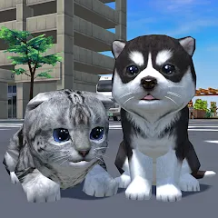 Взломанная Cute Pocket Cat And Puppy 3D (Кьют Покет Кэт Энд Паппи 3Д)  [МОД Бесконечные монеты]