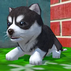 Скачать взлом Cute Pocket Puppy 3D (Сьют Покет Паппи 3Д)  [МОД Много денег]