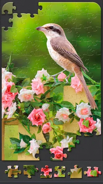 Jigsaw Puzzles for Adults [МОД Меню] Screenshot 3