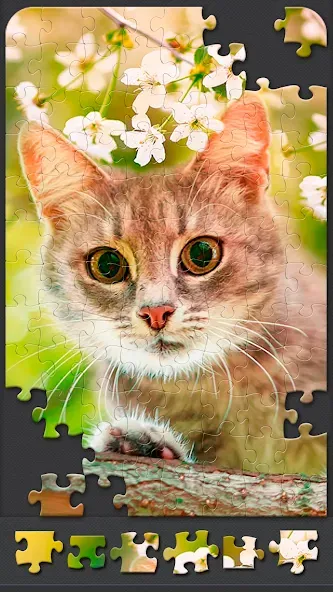 Jigsaw Puzzles for Adults [МОД Меню] Screenshot 5
