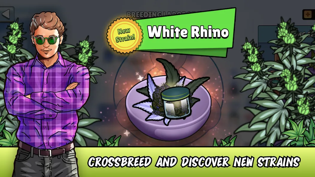 Weed City - Hemp Farm Tycoon (Уид Сити) [МОД Много монет] Screenshot 1