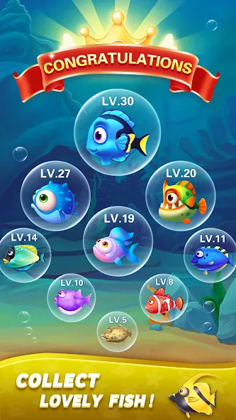 Block Ocean 1010 Puzzle Games (Блок Океан 1010 Головоломки) [МОД Бесконечные деньги] Screenshot 5