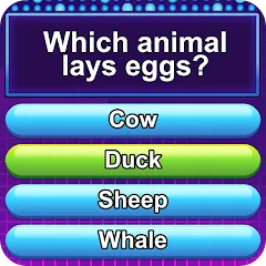 Взлом Trivia Crush (Тривия Краш)  [МОД Много монет]