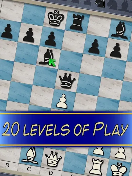 Chess V+ - board game of kings [МОД Много денег] Screenshot 5