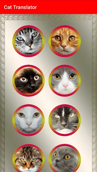 Translator for Cats Prank [МОД Menu] Screenshot 3