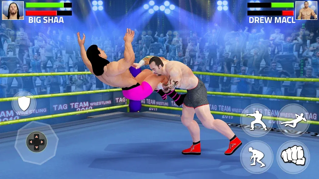 Tag Team Wrestling Game (Таг Тим Реслинг Гейм) [МОД Mega Pack] Screenshot 5