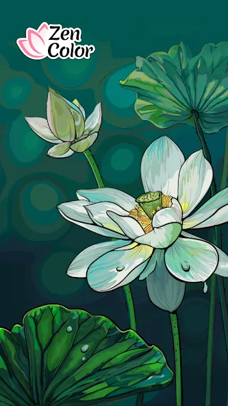 Zen Color - Color By Number (Зен Колор) [МОД Mega Pack] Screenshot 1