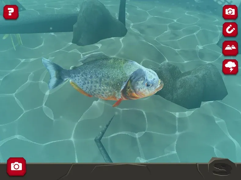 Legendary Creatures (Существо Легендарные) [МОД Бесконечные монеты] Screenshot 2