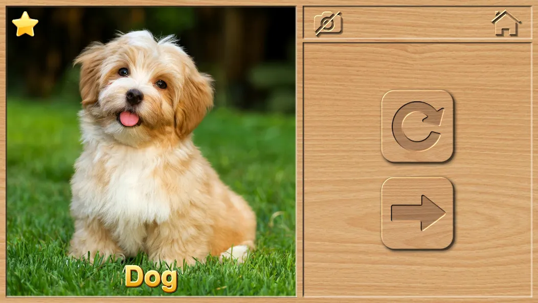 Animal Puzzles for Kids [МОД Много монет] Screenshot 2