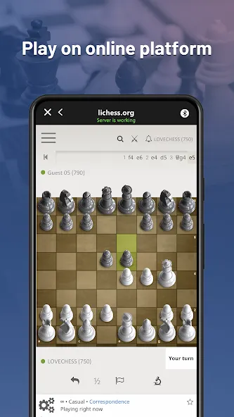 Chessnut (Честнат) [МОД Много денег] Screenshot 2