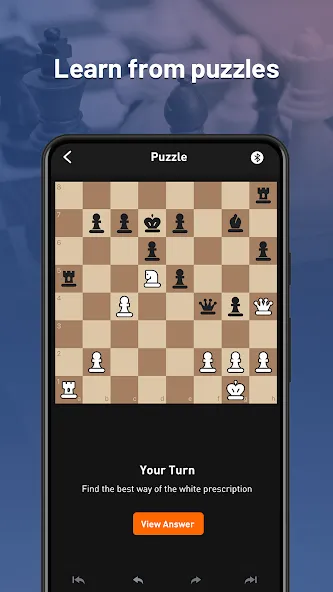 Chessnut (Честнат) [МОД Много денег] Screenshot 3