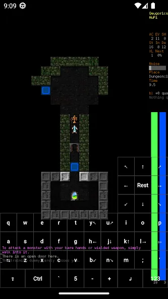 Dungeon Crawl Stone Soup (Данжен Кролл Стоун Суп) [МОД Много денег] Screenshot 3