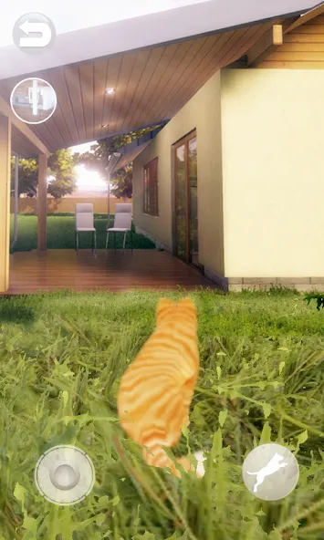 Talking Lovely Cat [МОД Бесконечные монеты] Screenshot 2