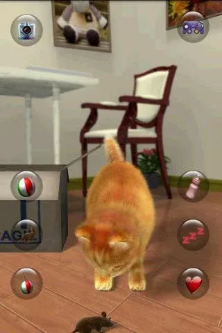 Talking Lovely Cat [МОД Бесконечные монеты] Screenshot 3