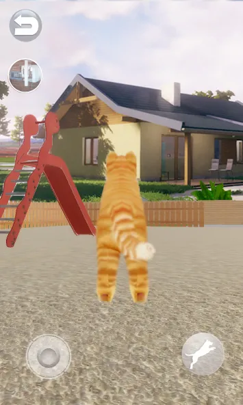 Talking Lovely Cat [МОД Бесконечные монеты] Screenshot 4