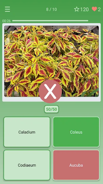 Quiz: Flowers, Plants [МОД Unlimited Money] Screenshot 3